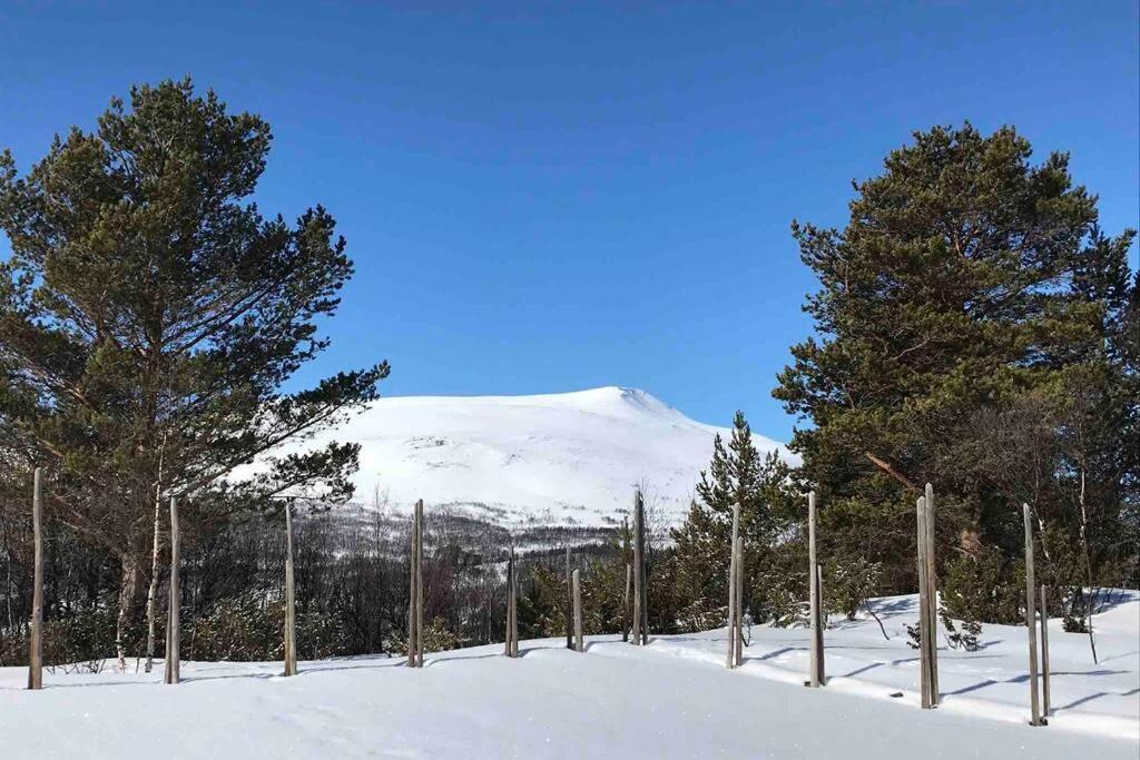 Fjellro Mountain Cabin Oppdal Buitenkant foto
